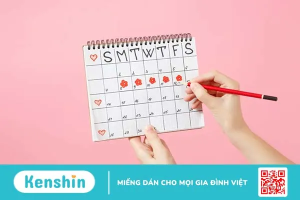 Lần đầu tiên có kinh nguyệt nên làm gì? Dấu hiệu bé gái sắp có kinh