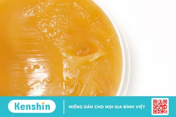 Lanolin là gì? Khám phá TOP 4 ứng dụng của Lanolin trong làm đẹp