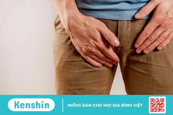 Lao đường tiết niệu sinh dục là bệnh gì và cách điều trị