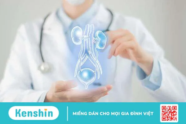 Lao đường tiết niệu sinh dục là bệnh gì và cách điều trị