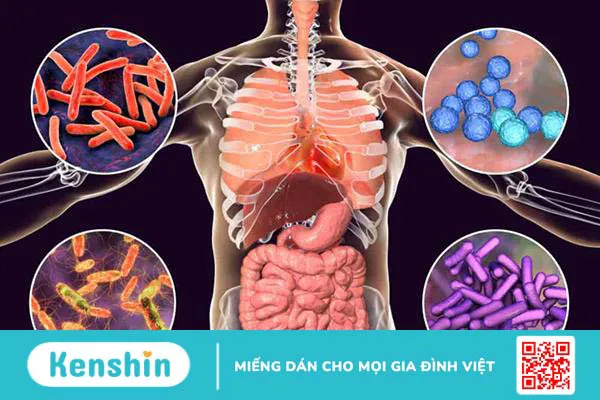 Lao ruột là gì? Những điều cần biết về căn bệnh lao ruột