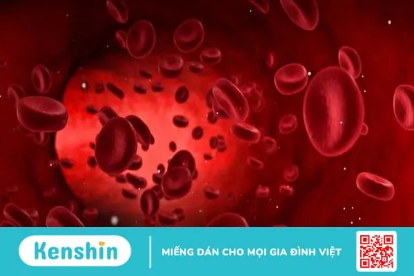 Liên cầu khuẩn nhóm B là gì? Nguyên nhân, dấu hiệu, điều trị, phòng ngừa