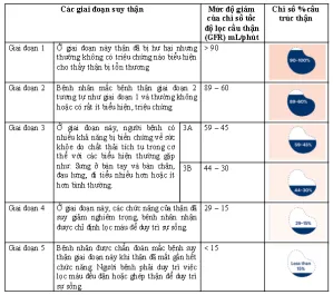 Liệu bạn đã biết rõ bệnh suy thận mạn là gì?