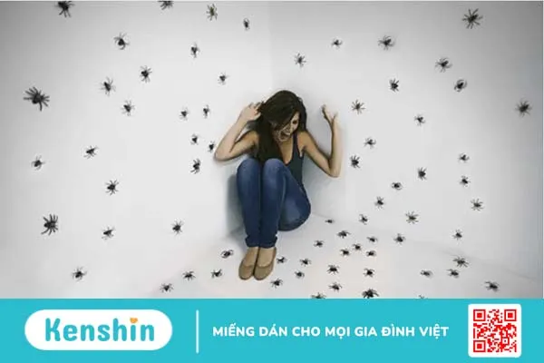 Liệu có cách nào trị chứng sợ nhện?