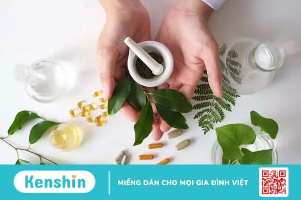 Liệu pháp thảo dược trong điều trị phì đại tuyến tiền liệt – Có phải hiệu quả đều như nhau?