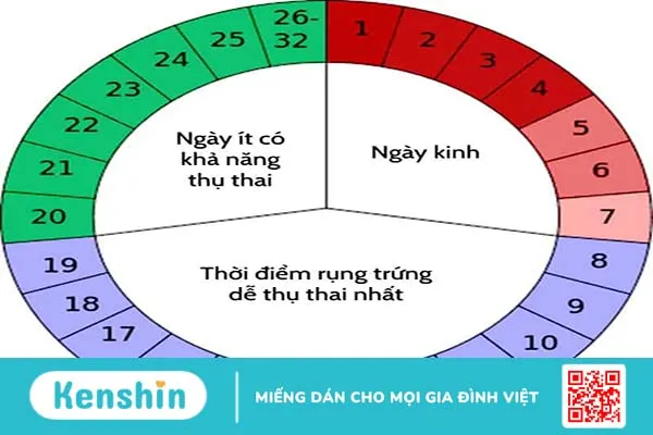 Lỡ quan hệ ngày rụng trứng có mang thai không?