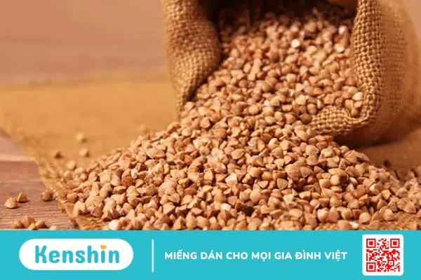 Lúa mạch đen tưởng lạ nhưng lại quen