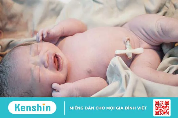 Lưu trữ máu cuống rốn để làm gì? Ưu, nhược điểm và những điều cần biết