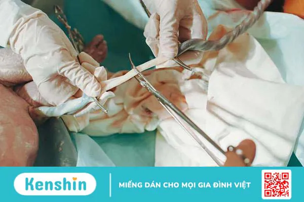 Lưu trữ máu cuống rốn để làm gì? Ưu, nhược điểm và những điều cần biết