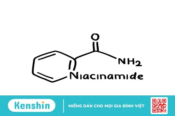 Lý giải tại sao dùng niacinamide bị lên mụn?