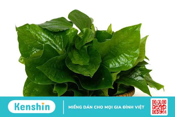 Mách bạn 10 cách chữa đau gót chân dân gian hiệu quả