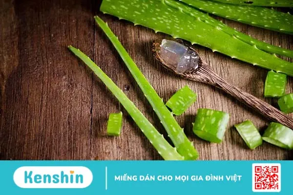 Mách bạn 5 cách trị gàu bằng nha đam hiệu quả có thể bạn chưa biết