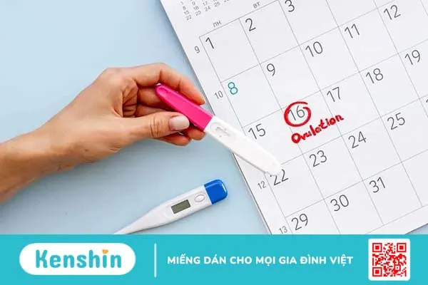 Mách bạn 7 dấu hiệu trứng đã rụng xong rất dễ nhận biết