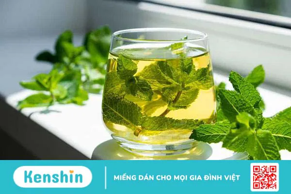 Mách bạn các cách sử dụng lá bạc hà trị ho đơn giản, hiệu quả