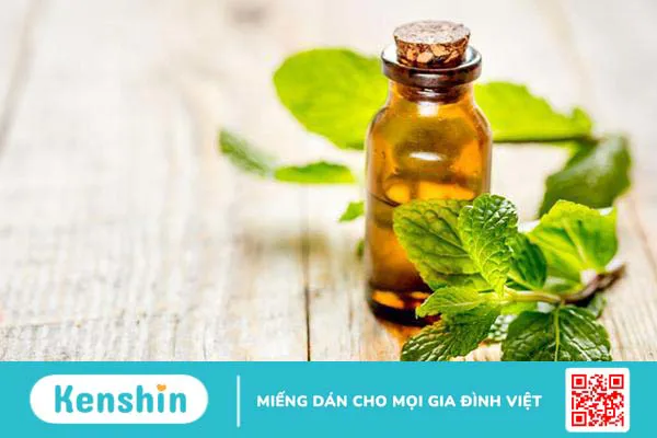 Mách bạn các cách sử dụng lá bạc hà trị ho đơn giản, hiệu quả