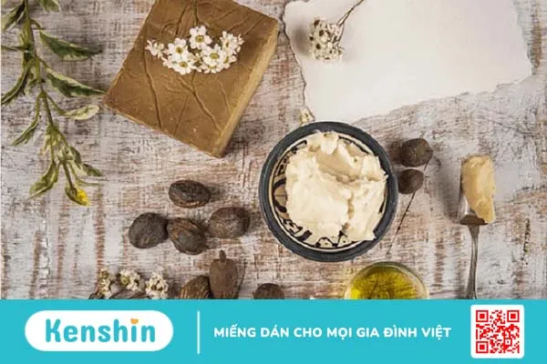 Mách bạn cách làm đẹp với bơ hạt mỡ