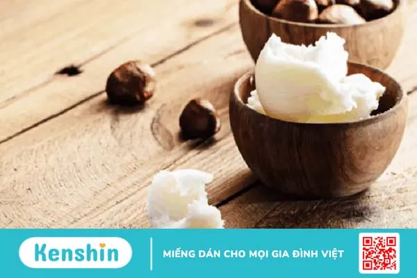 Mách bạn cách làm đẹp với bơ hạt mỡ