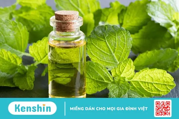 Mách bạn cách pha chế các loại trà thảo mộc giúp giảm đầy bụng