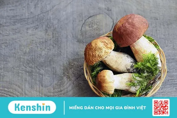 Mách bạn cách trồng nấm tại nhà