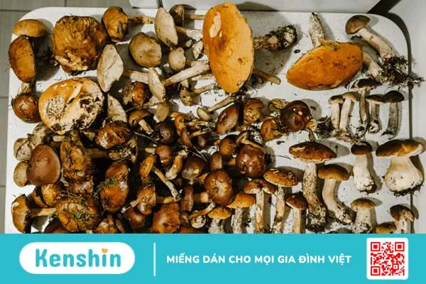 Mách bạn cách trồng nấm tại nhà