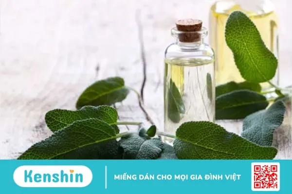 Mách nhỏ 9 loại tinh dầu trị mụn bạn không nên bỏ qua