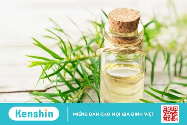 Mách nhỏ 9 loại tinh dầu trị mụn bạn không nên bỏ qua