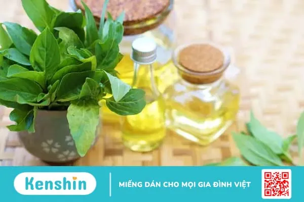 Mách nhỏ 9 loại tinh dầu trị mụn bạn không nên bỏ qua