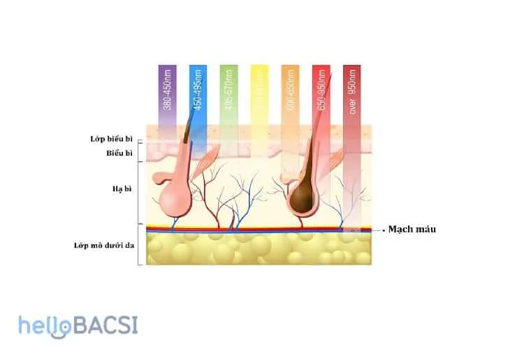 Mặt nạ ánh sáng sinh học: Xu hướng điều trị mụn năm 2019