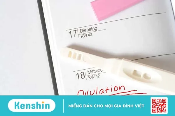 Máu báo thai xuất hiện sau quan hệ mấy ngày? Cách phân biệt với máu kinh nguyệt