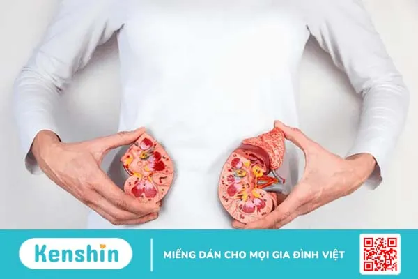 Màu sắc nước tiểu báo hiệu gì về vấn đề sức khỏe của bạn?