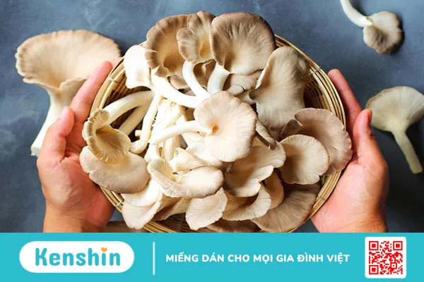 Mẹ sau sinh ăn nấm được không? Các loại nấm mẹ sau sinh được ăn