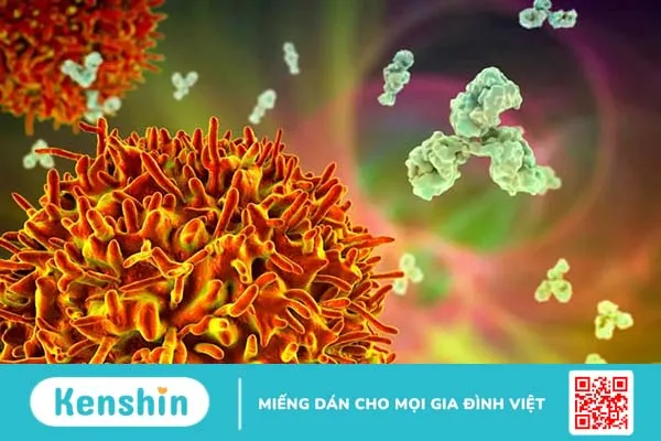 Miễn dịch của cơ thể kéo dài bao lâu sau khi khỏi COVID-19?