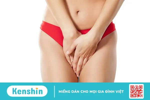 Môi bé là gì? Cấu tạo, vị trí, chức năng và các vấn đề thường gặp