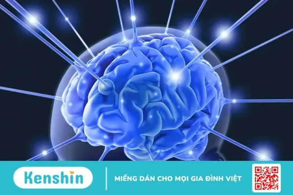 Mối liên hệ giữa nhịp thở, trí nhớ và cảm giác sợ hãi