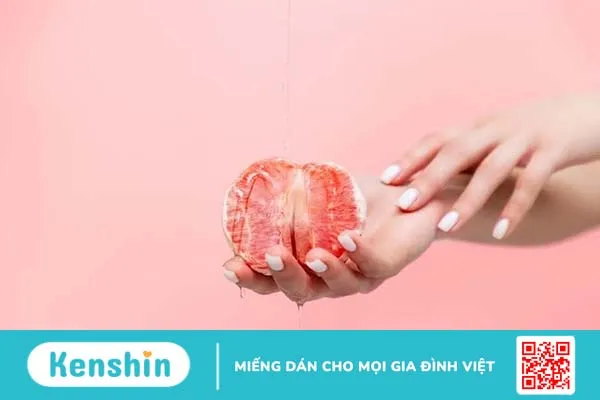 Môi lớn là gì? Cấu tạo, vị trí, chức năng và các vấn đề thường gặp