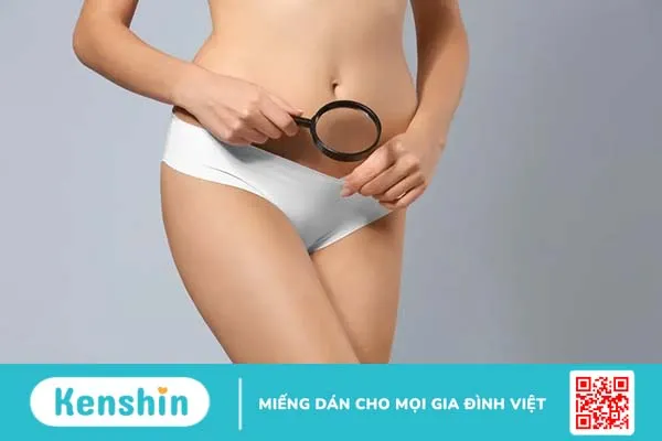 Môi lớn là gì? Cấu tạo, vị trí, chức năng và các vấn đề thường gặp