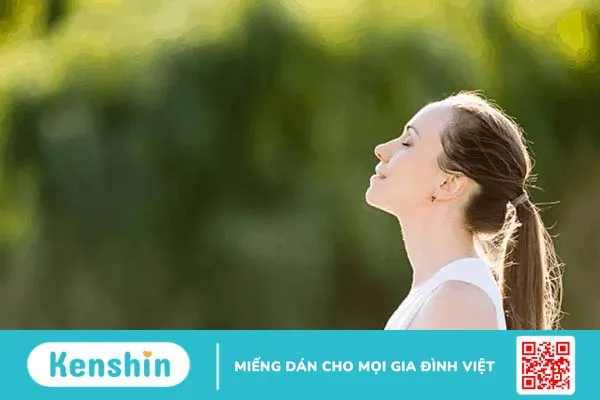 [Mới nhất] Hướng dẫn tập Yoga cho người mới bắt đầu từ A-Z