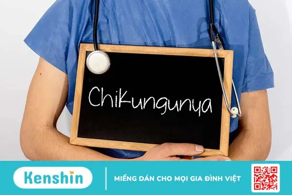 Muỗi đốt có thể gây ra những bệnh gì? Top 10 căn bệnh nguy hiểm nhất