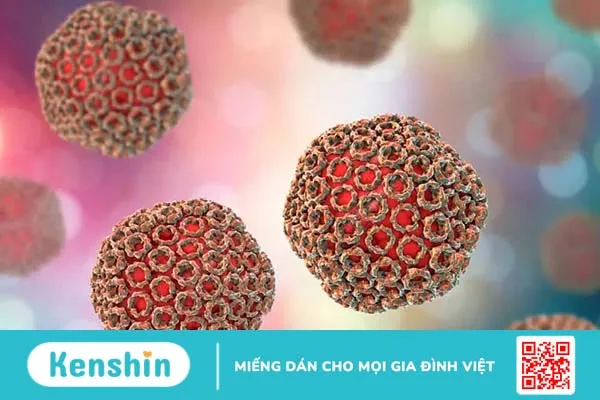 Muỗi đốt có thể gây ra những bệnh gì? Top 10 căn bệnh nguy hiểm nhất