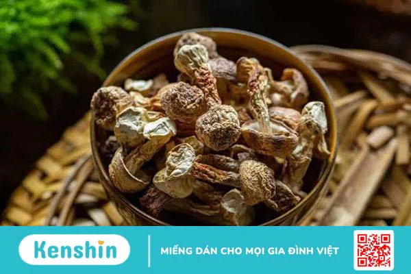 Nấm agaricus dùng để làm gì ?