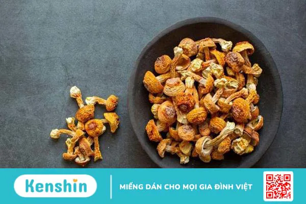 Nấm agaricus dùng để làm gì ?