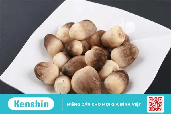 Nấm có tác dụng gì? Các loại nấm ăn được làm phong phú thực đơn