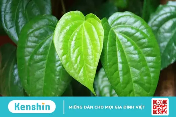 Nấm da đầu lan xuống mặt phải làm sao?