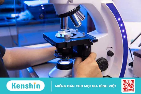 Nam giới làm xét nghiệm tinh dịch đồ kiêng quan hệ bao lâu?