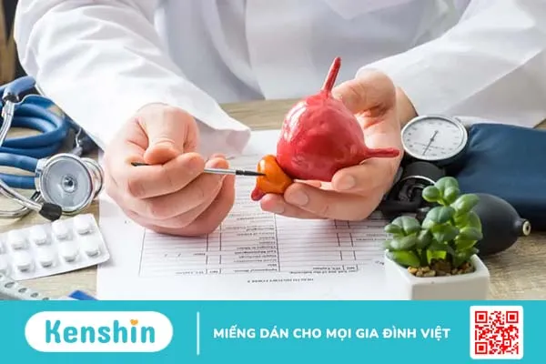 Nam giới mắc bệnh phì đại tuyến tiền liệt có nên quan hệ tình dục không?