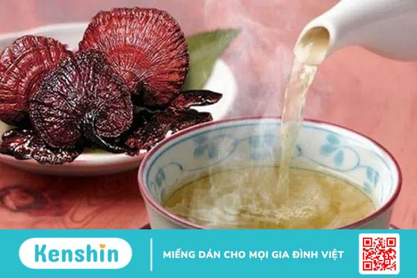 Nấm lim xanh Quảng Nam có tác dụng gì? Tìm hiểu ngay!