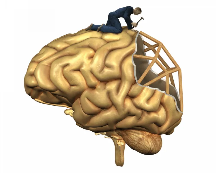 Neuroplasticity là gì mà có thể chữa lành tổn thương?