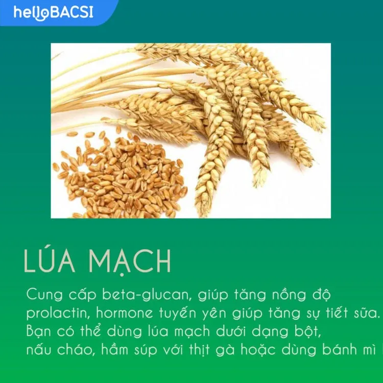 Ngũ cốc lợi sữa có thực sự giúp mẹ có nguồn sữa dồi dào?