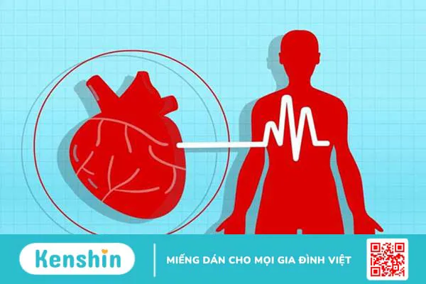 Ngũ vị tử và những điều bạn có thể chưa biết