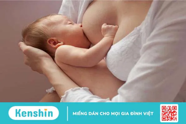 Ngũ vị tử và những điều bạn có thể chưa biết